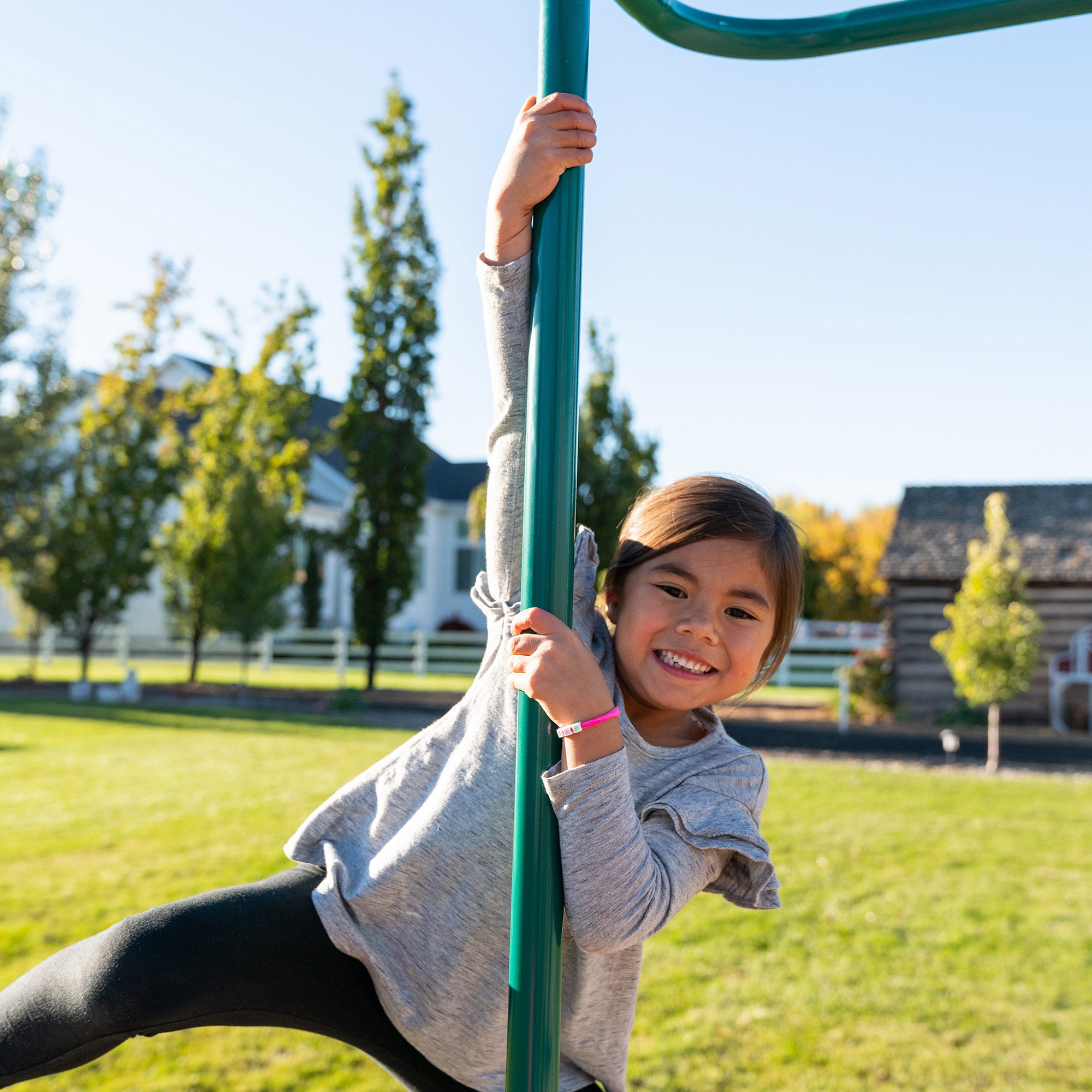 Lifetime Double Slide Deluxe Swing Set- Do It Yourself