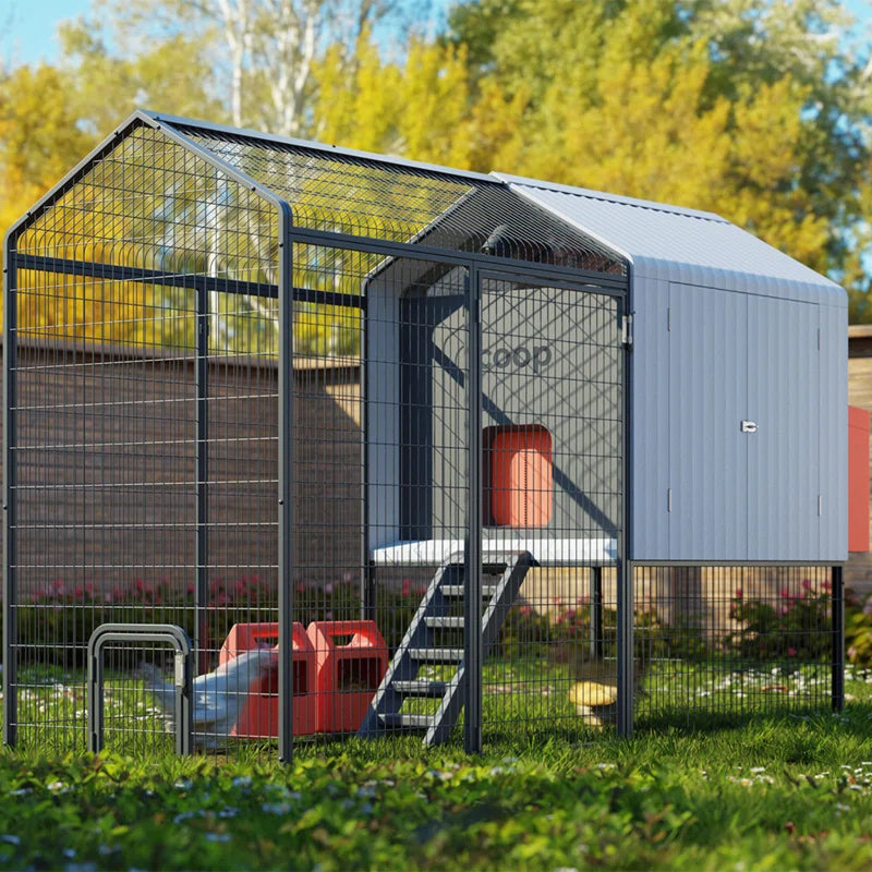 Smart Chicken Coops 30 Square Feet Walk in Chicken Coop with Chicken Run for up to 6 Chickens